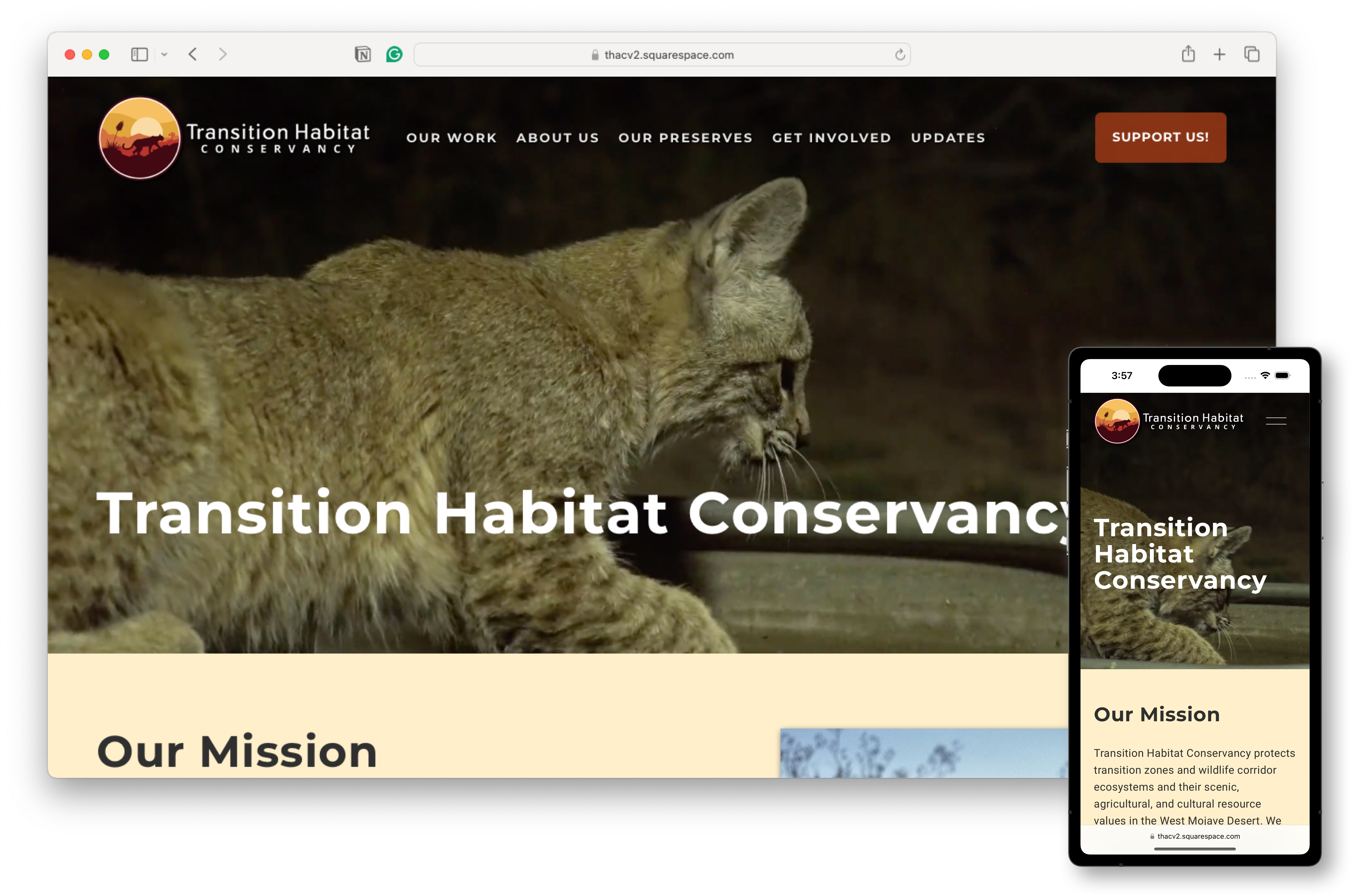 Transition Habitat New Website Screenshot